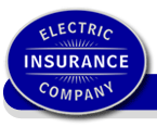 Electric Insurance Company Logo